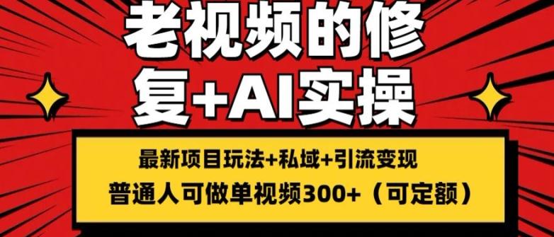 修复老视频的玩法，搬砖+引流的变现(可持久)，单条收益300+【揭秘】-胖丫丫博客