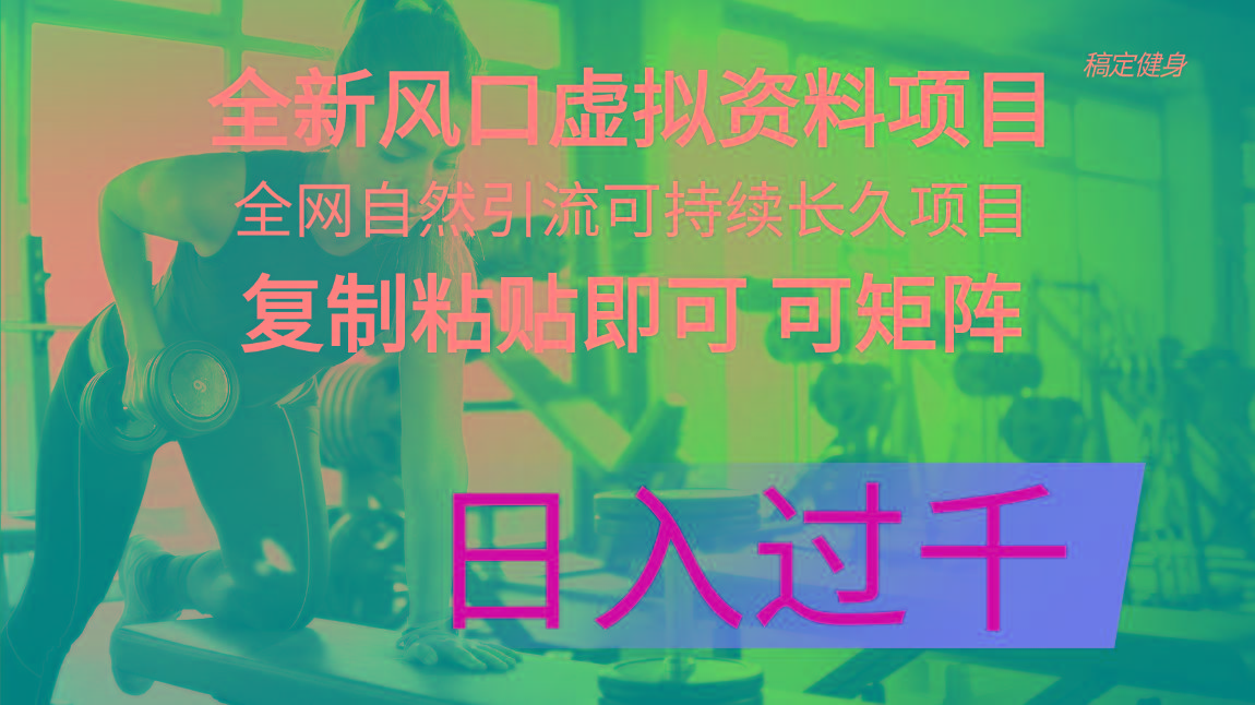 全新风口虚拟资料项目 全网自然引流可持续长久项目 复制粘贴即可可矩阵…-胖丫丫博客