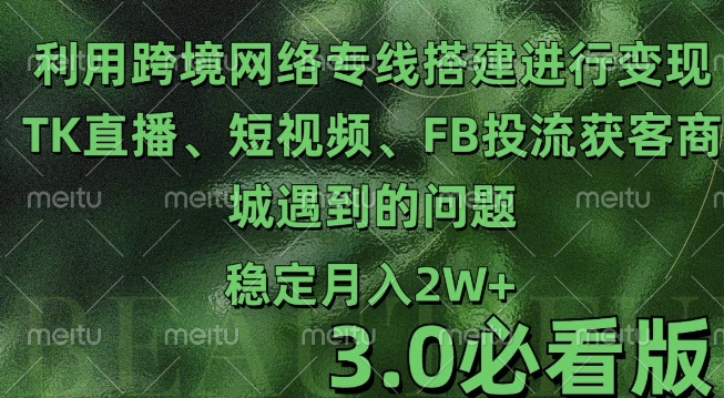 利用跨境电商网络及搭建TK直播、短视频、FB投流获客以及商城遇到的问题进行变现3.0必看版【揭秘】-胖丫丫博客