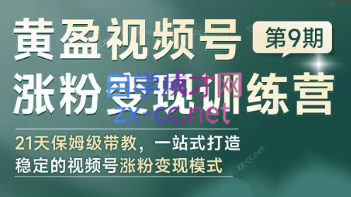 黄盈·视频号涨粉变现训练营-胖丫丫博客