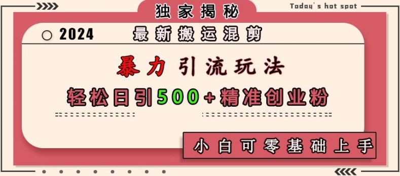 最新搬运混剪暴力引流玩法，轻松日引500+精准创业粉，小白可零基础上手-胖丫丫博客