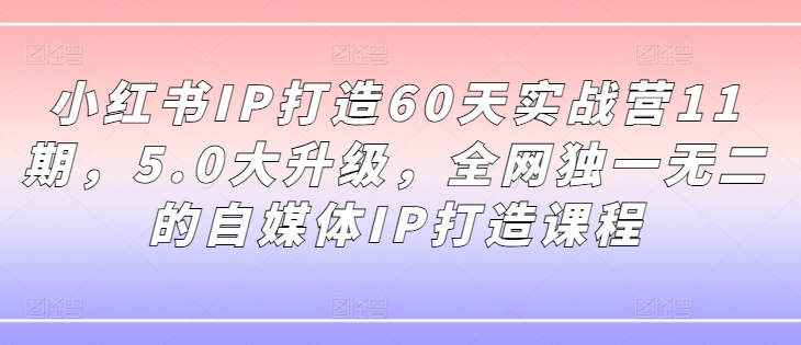 小红书IP打造60天实战营11期，5.0大升级，全网独一无二的自媒体IP打造课程-胖丫丫博客