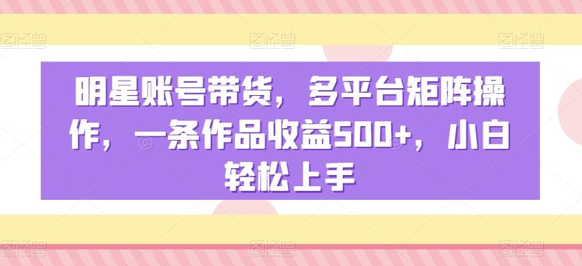 明星账号带货，多平台矩阵操作，一条作品收益500+，小白轻松上手【揭秘】-胖丫丫博客