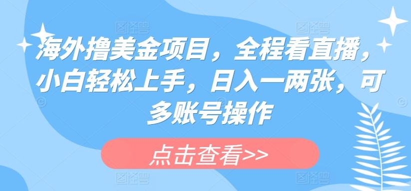 海外撸美金项目，全程看直播，小白轻松上手，日入一两张，可多账号操作【揭秘】-胖丫丫博客