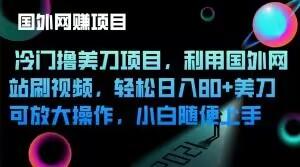 冷门撸美刀项目，利用国外网站刷视频，轻松日入80+美刀，可放大操作，小白随便上手-胖丫丫博客