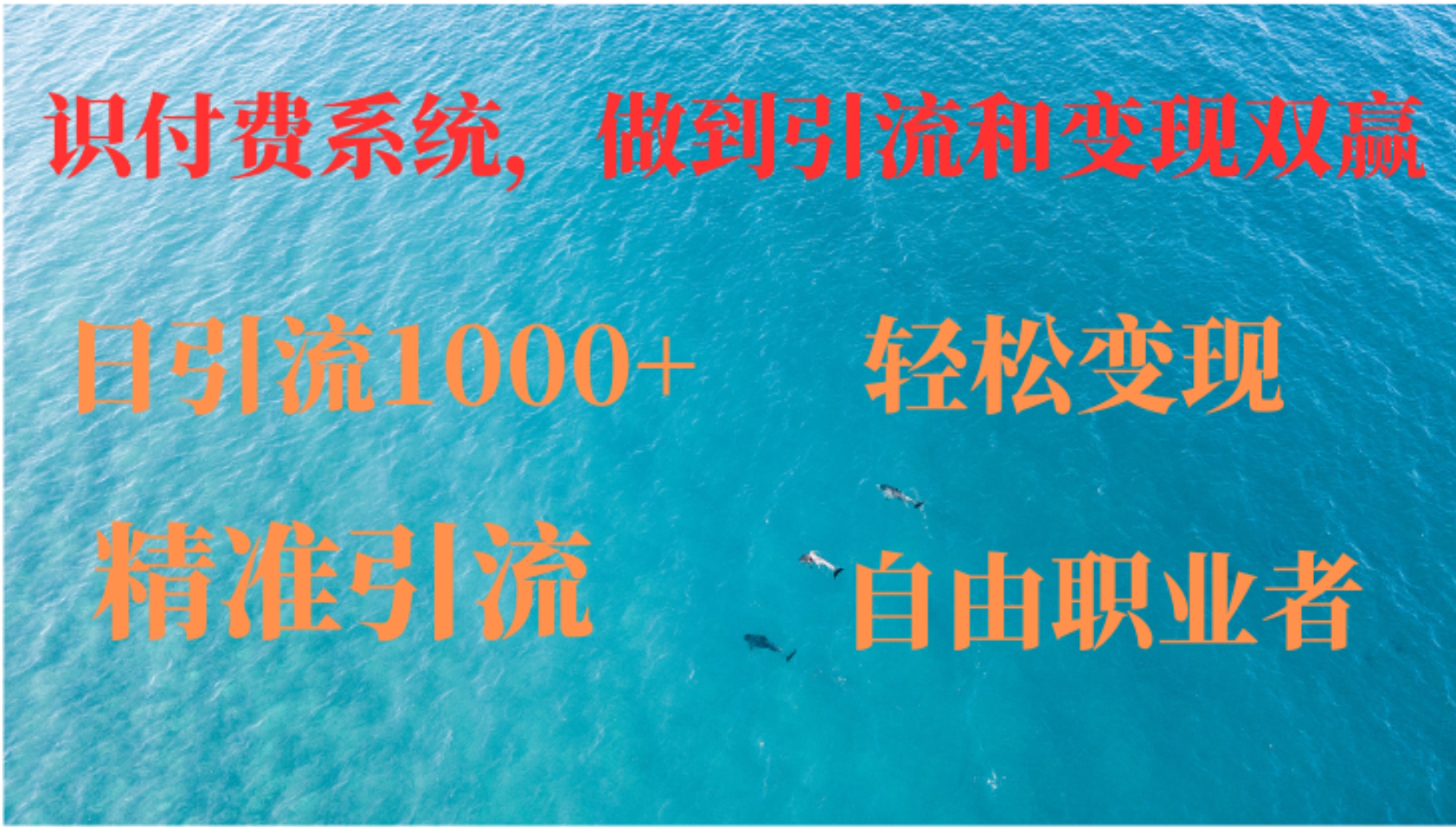 如何搭建自己的知识付费系统，做到引流和变现双赢-胖丫丫博客