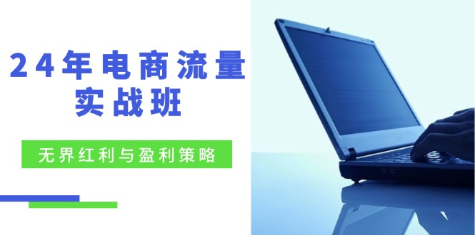 24年电商流量实战班：无界 红利与盈利策略，终极提升/关键词优化/精准…-胖丫丫博客