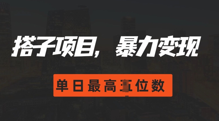 2024搭子玩法，0门槛，暴力变现，单日最高破四位数【揭秘】-胖丫丫博客