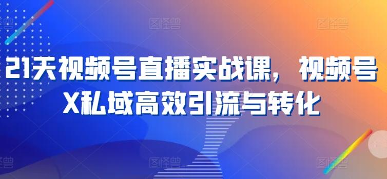 21天视频号直播实战课，视频号X私域高效引流与转化-胖丫丫博客