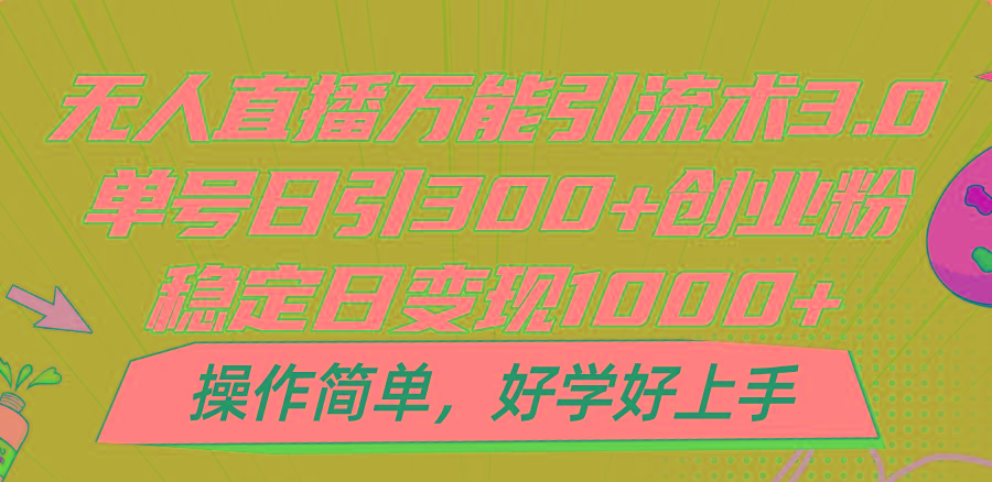 无人直播万能引流术3.0，单号日引300+创业粉，稳定日变现1000+，操作简单-胖丫丫博客