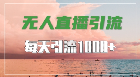 抖音快手视频号全平台通用，无人直播引流法，超暴力引流1000+高质量精准创业粉【揭秘】-胖丫丫博客