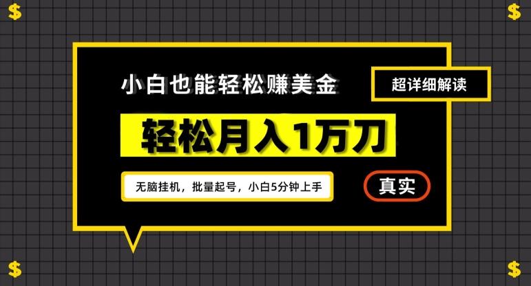 谷歌看广告撸美金2.0，无脑挂机，多号操作，月入1万刀【揭秘】-胖丫丫博客