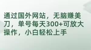 通过国外网站，无脑赚美刀，单号每天300+可放大操作，小白轻松上手【揭秘】-胖丫丫博客