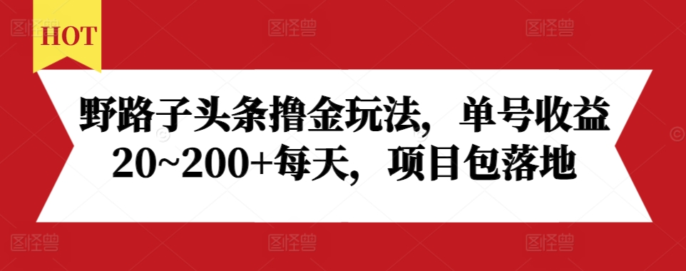 野路子头条撸金玩法，单号收益20~200+每天，项目包落地-胖丫丫博客