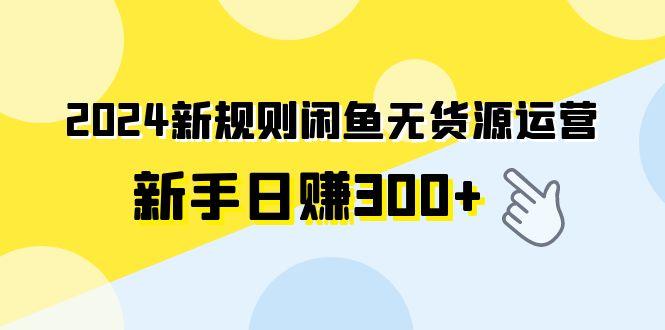 (9522期)2024新规则闲鱼无货源运营新手日赚300+-胖丫丫博客