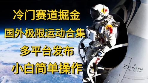 冷门赛道掘金，国外极限运动视频合集，多平台发布，小白简单操作-胖丫丫博客