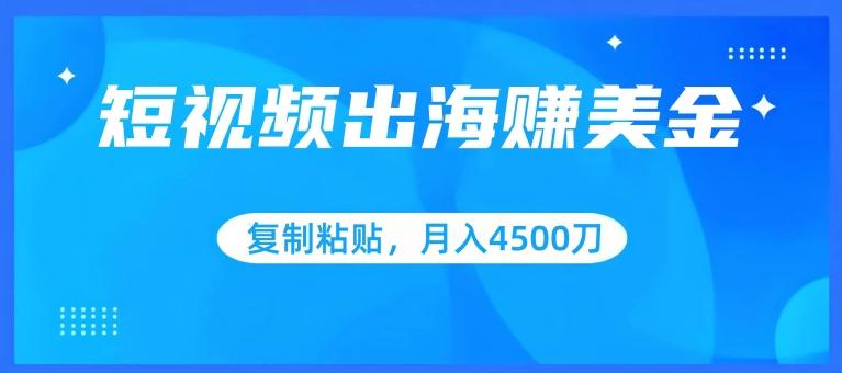 短视频出海赚美金，复制粘贴批量操作，小白轻松掌握，月入4500美刀【揭秘】-胖丫丫博客