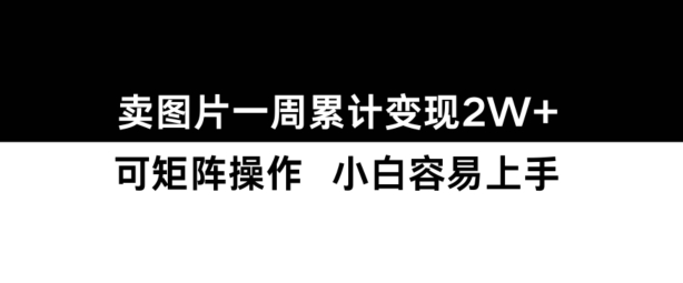 小红书【卖图片】一周累计变现2W+小白易上手-胖丫丫博客