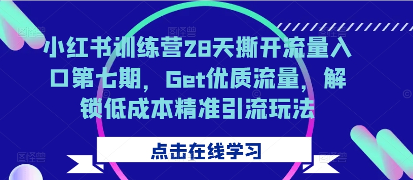 小红书训练营28天撕开流量入口第七期，Get优质流量，解锁低成本精准引流玩法-胖丫丫博客