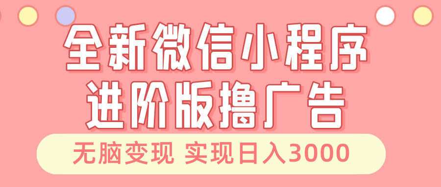 全新微信小程序进阶版撸广告 无脑变现睡后也有收入 日入3000＋-胖丫丫博客