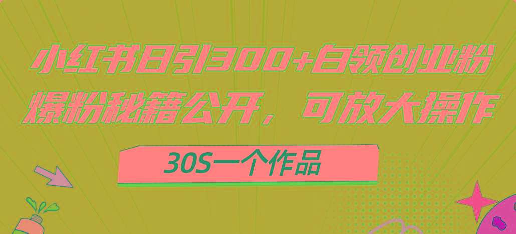 小红书日引300+高质白领创业粉，可放大操作，爆粉秘籍！30s一个作品-胖丫丫博客