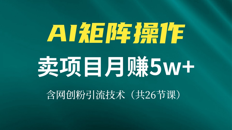 网创IP打造课，借助AI卖项目月赚5万+，含引流技术(共26节课-胖丫丫博客