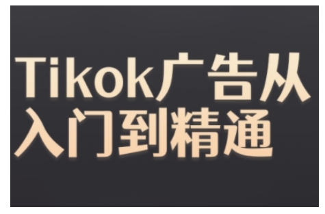 Tiktok Ads实操教程，Tiktok广告从入门到精通-胖丫丫博客