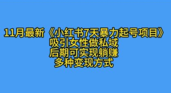 K总部落11月最新小红书7天暴力起号项目，吸引女性做私域【揭秘】-胖丫丫博客