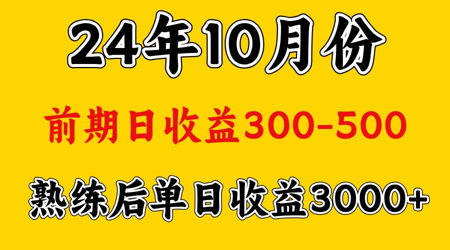 高手是怎么赚钱的.前期日收益500+熟练后日收益3000左右-胖丫丫博客