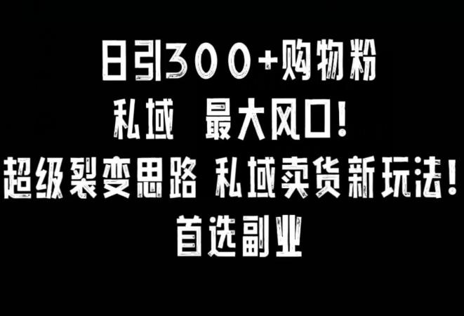 日引300+购物粉，超级裂变思路，私域卖货新玩法，小红书首选副业【揭秘】-胖丫丫博客