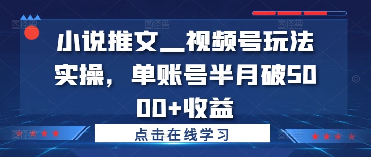 小说推文—视频号玩法实操，单账号半月破5000+收益-胖丫丫博客