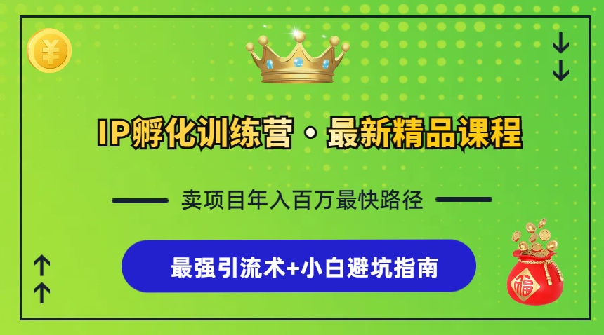 IP孵化训练营，知识付费全流程+最强引流术+小白避坑指南-胖丫丫博客