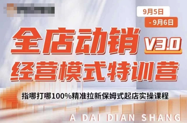 全店动销经营模式特训营，指哪打哪100%精准拉新保姆式起店实操课程-胖丫丫博客