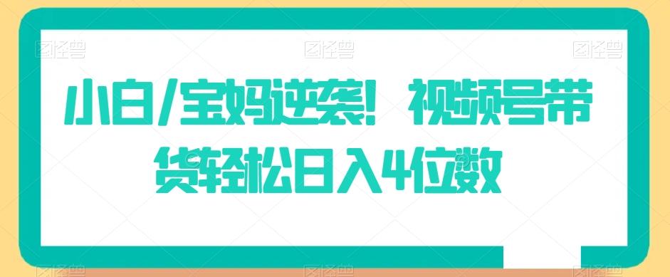 小白/宝妈逆袭！视频号带货轻松日入4位数【揭秘】-胖丫丫博客