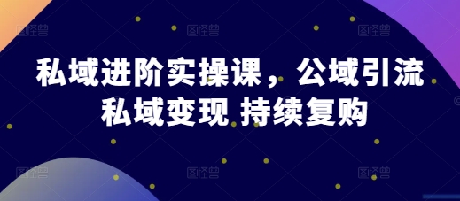 私域进阶实操课，公域引流 私域变现 持续复购-胖丫丫博客