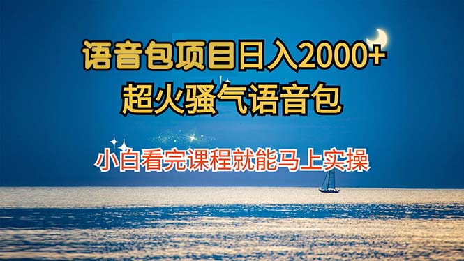 语音包项目 日入2000+ 超火骚气语音包小白看完课程就能马上实操-胖丫丫博客