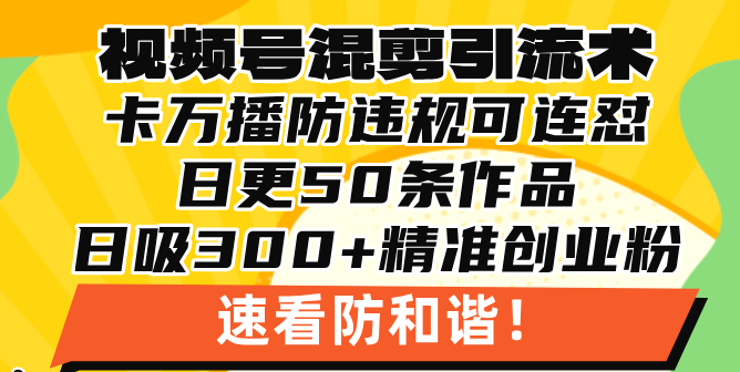 视频号混剪引流技术，500万播放引流17000创业粉，操作简单当天学会-胖丫丫博客