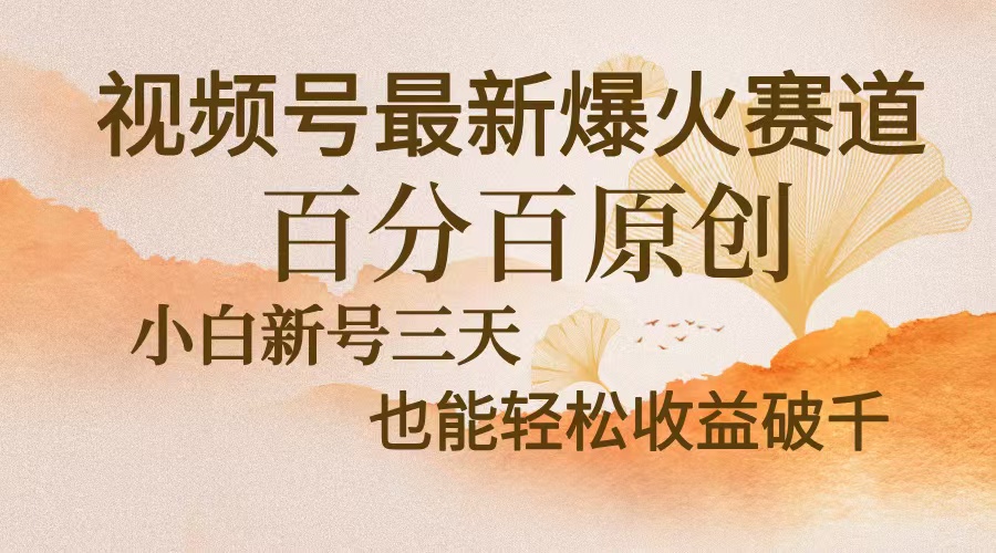 视频号最新爆火赛道，中老年粉深信不疑，百分百原创，新号三天收益轻松…-胖丫丫博客