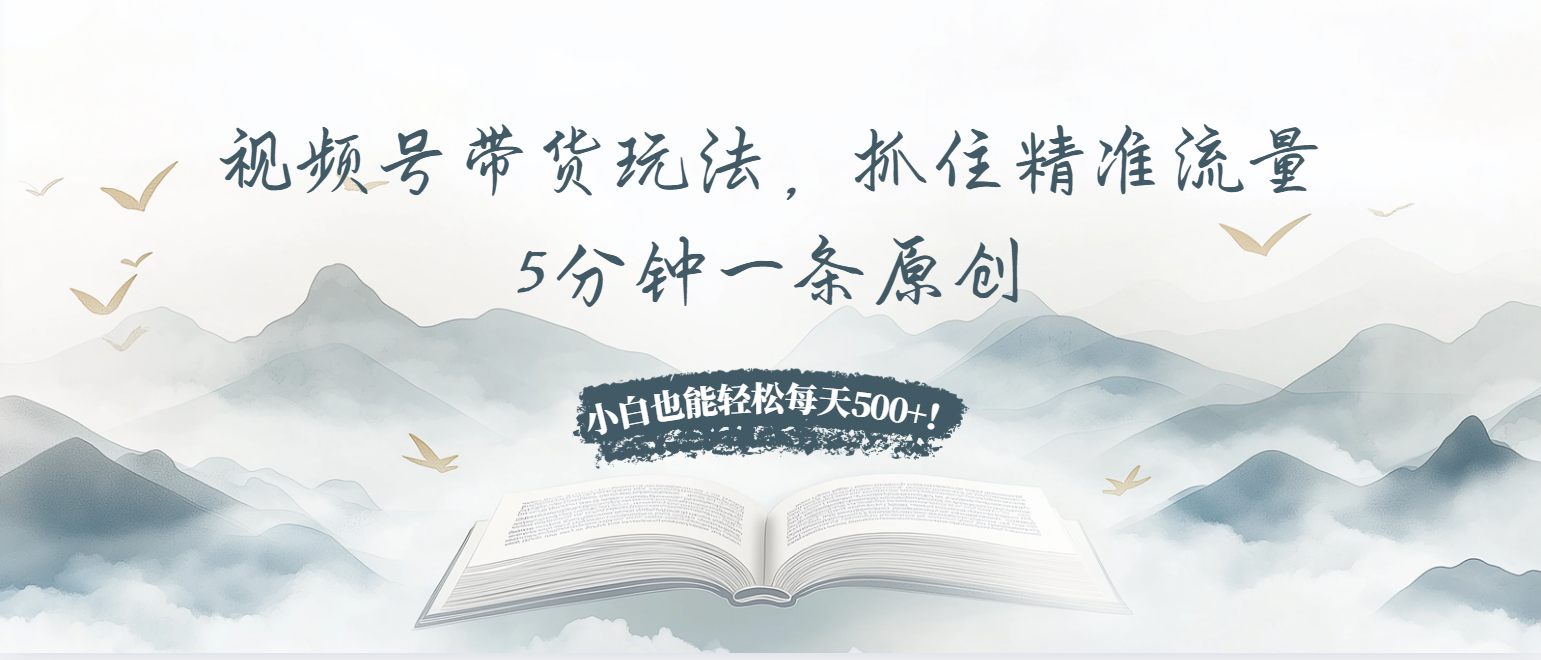 视频号带货玩法，抓住精准流量，5分钟一条原创，小白也能轻松每天500+！-胖丫丫博客