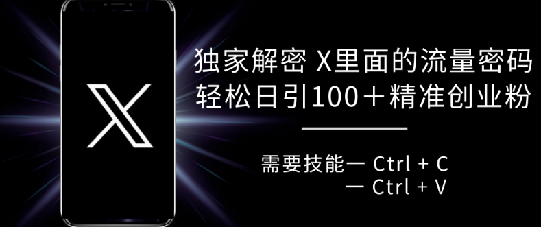 独家解密 X 里面的流量密码，复制粘贴轻松日引100+-胖丫丫博客