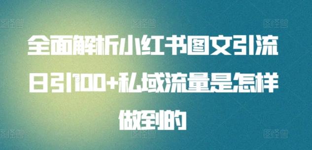 全面解析小红书图文引流日引100+私域流量是怎样做到的【揭秘】-胖丫丫博客