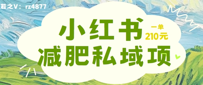 小红书减肥粉，私域变现项目，一单就达210元，小白也能轻松上手【揭秘】-胖丫丫博客