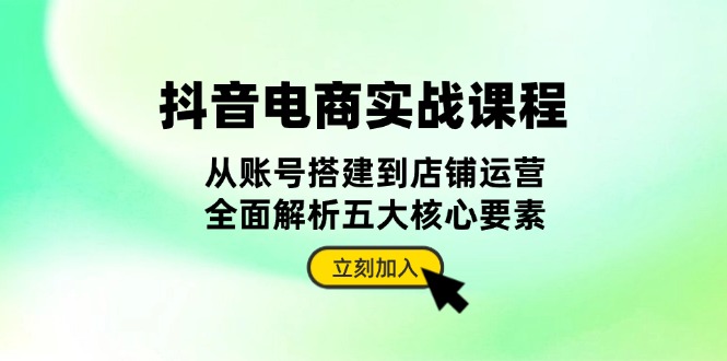 抖音 电商实战课程：从账号搭建到店铺运营，全面解析五大核心要素-胖丫丫博客