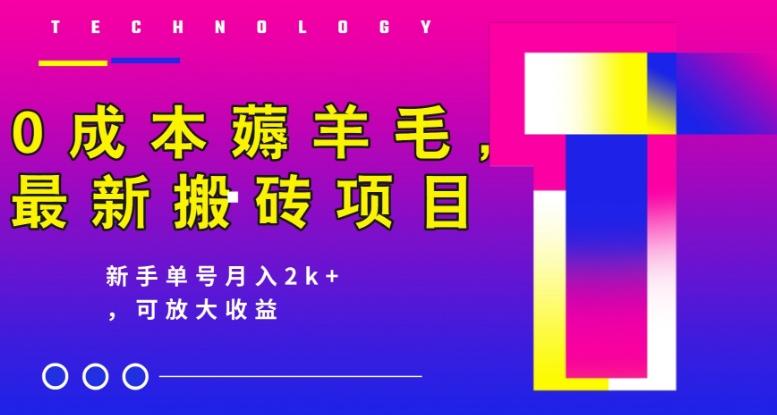 0成本薅羊毛，最新搬砖项目，新手单号月入2k+，可放大操作-胖丫丫博客