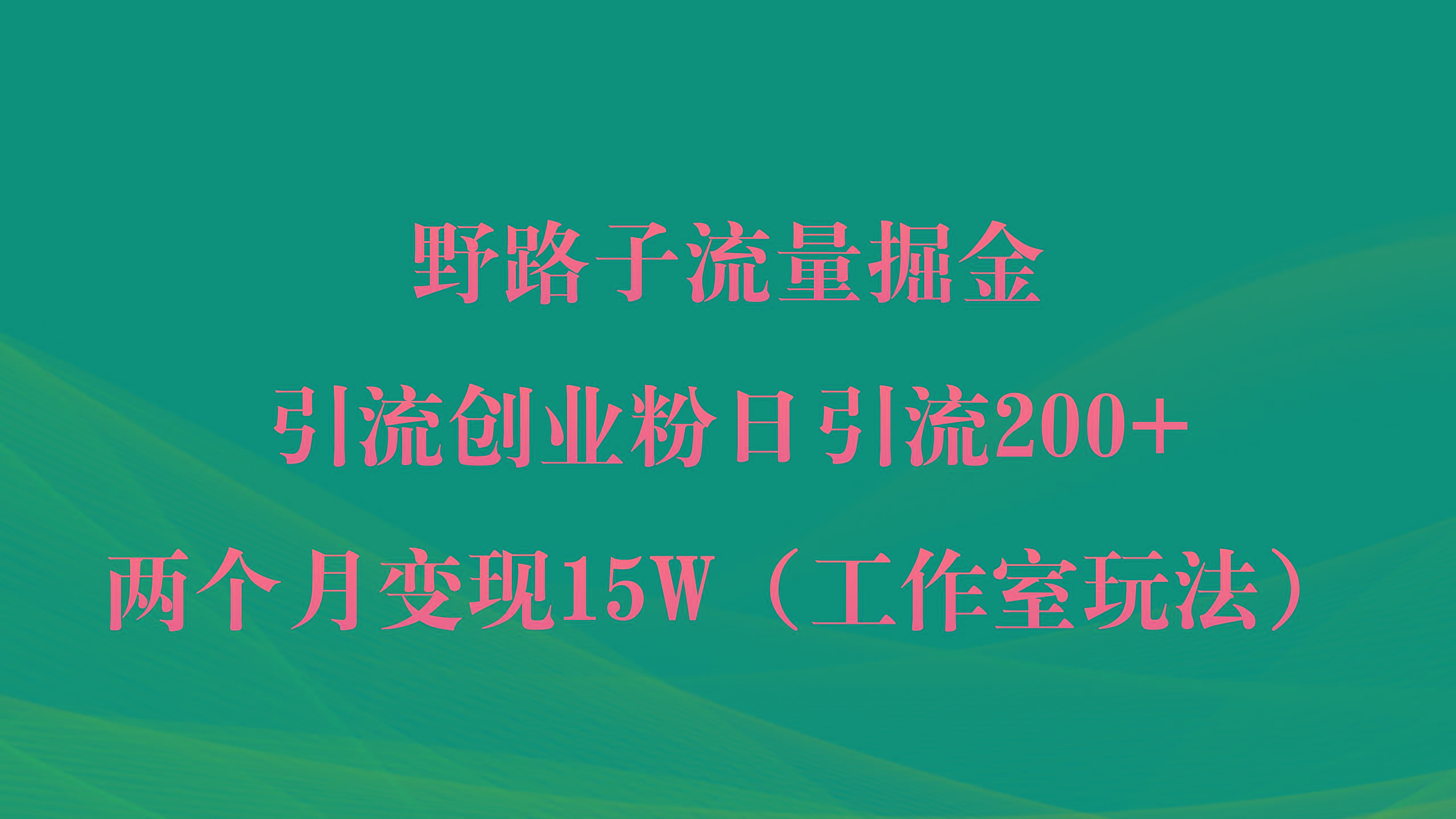 (9513期)野路子流量掘金，引流创业粉日引流200+，两个月变现15W(工作室玩法))-胖丫丫博客