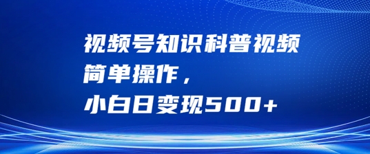 视频号知识科普视频，简单操作，小白日变现500+【揭秘】-胖丫丫博客