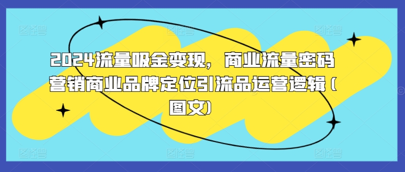 2024流量吸金变现，商业流量密码营销商业品牌定位引流品运营逻辑(图文)-胖丫丫博客