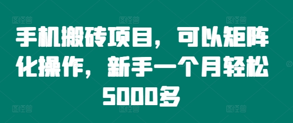 手机搬砖项目，可以矩阵化操作，新手一个月轻松5000多-胖丫丫博客