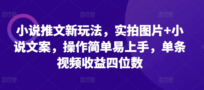 小说推文新玩法，实拍图片+小说文案，操作简单易上手，单条视频收益四位数-胖丫丫博客