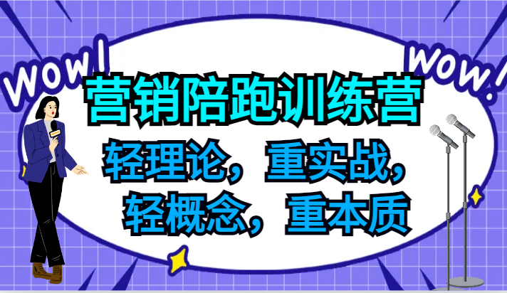 营销陪跑训练营，轻理论，重实战，轻概念，重本质，适合中小企业和初创企业的老板-胖丫丫博客